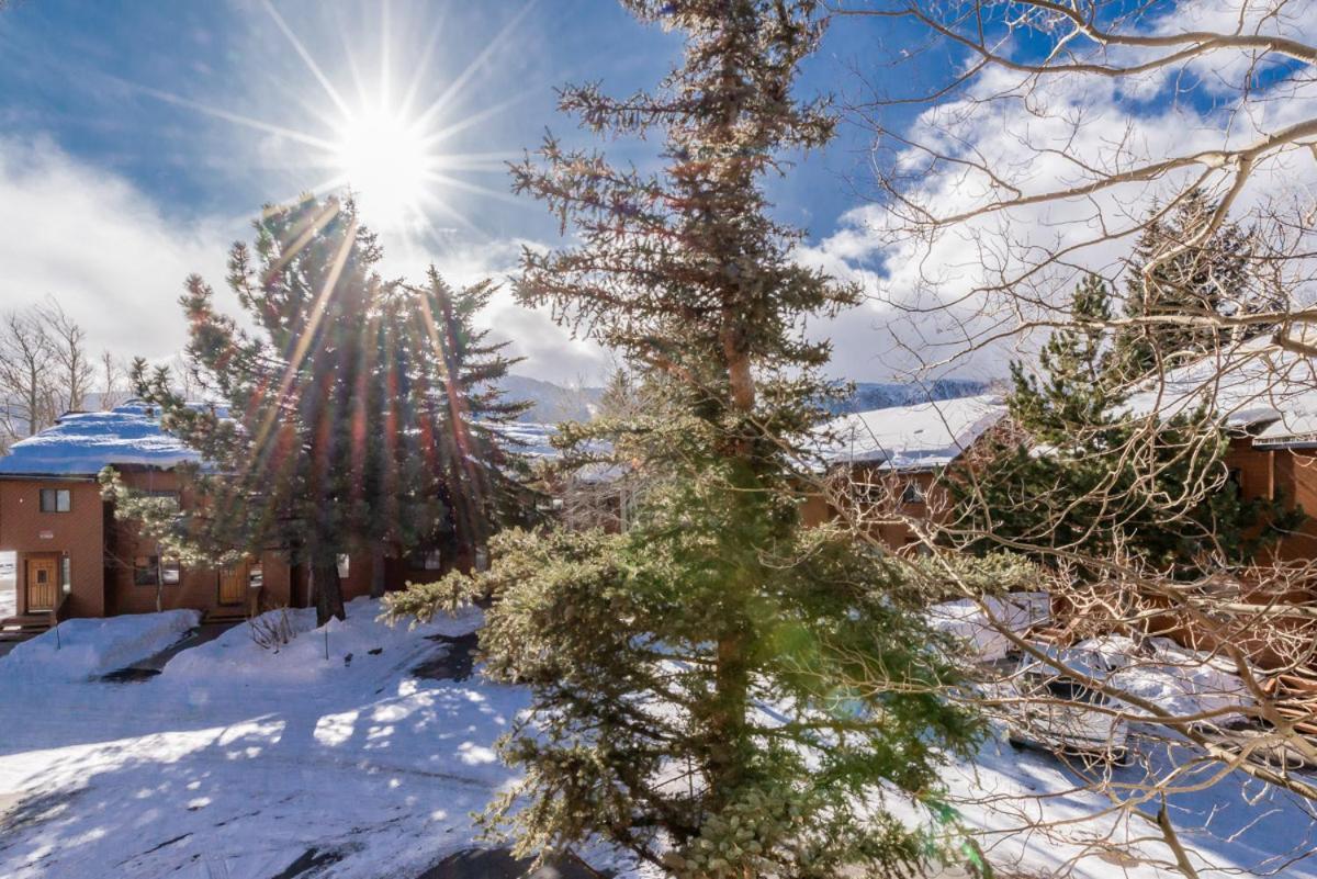 Snowflower 12 Mammoth Lakes Esterno foto